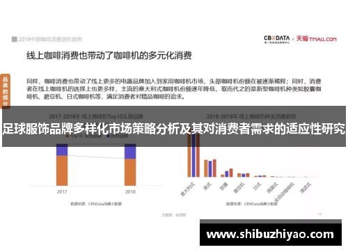 足球服饰品牌多样化市场策略分析及其对消费者需求的适应性研究