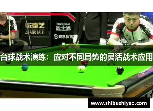 台球战术演练：应对不同局势的灵活战术应用